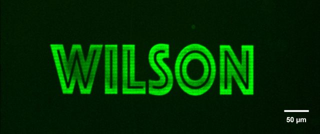 Fluorescent protein micropatterning using the Alveole PRIMO.